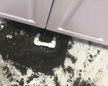 定兴县查漏水哪家好